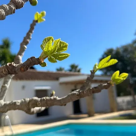 Holiday home Ferienhaus Fuer 6 Personen In Fuente Del Gallo